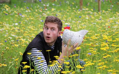 Entretenir mon poulailler : le ménage de printemps