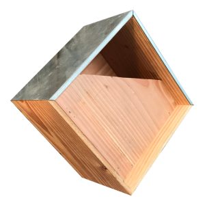 Nichoir rouge-gorge George