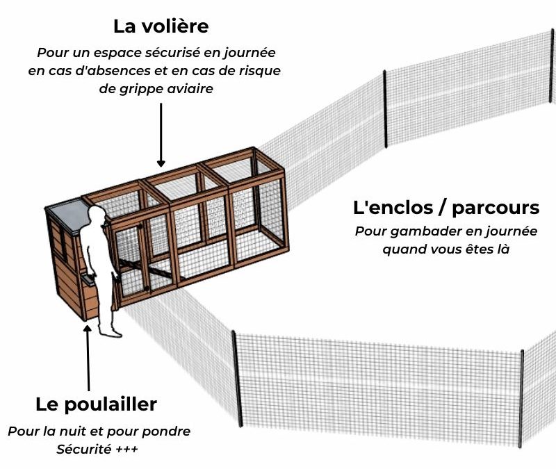 Quel enclos pour les poules ? Une logique en 3 espaces