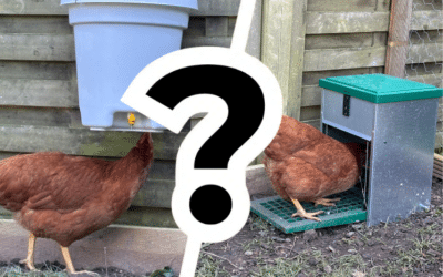 Quels sont les meilleurs accessoires pour le poulailler ? Abreuvoirs, mangeoires..
