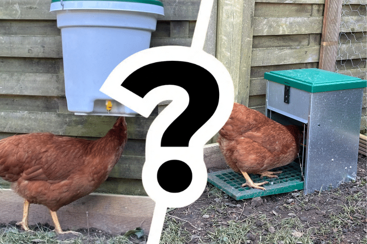 Quels sont les meilleurs accessoires pour le poulailler ? Abreuvoirs, mangeoires..