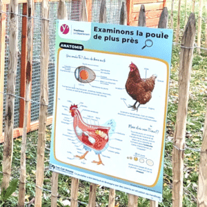 Panneau d'affichage pédagogique