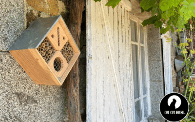 Installer un hôtel à insectes dans son jardin